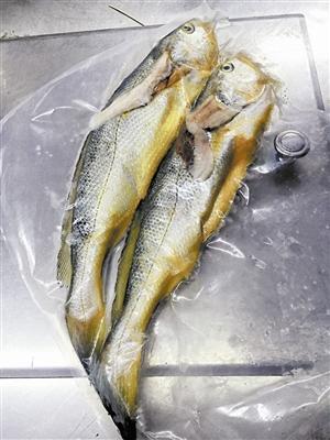 “1949华家里”厨房里的东海野生小黄鱼。 本版图片均由深圳晚报记者李瑶娜摄