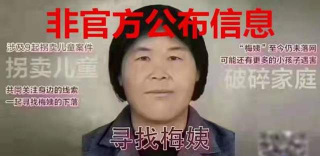 出社会以后-挂机方案五问梅姨画像风波：三张从何而来？怎么画的？背后寻亲者近况怎样_社会消息_ ...挂机论坛(1)