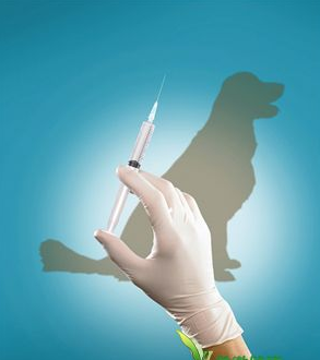  假狂犬疫苗致死亡 (图):过了有效期 被判3年3个