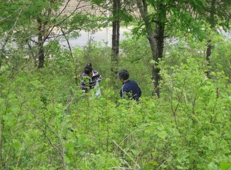  村民采野菜遇老虎 (组图)看村民如何机智地虎口