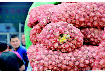  农民种蒜赚60万 (图):还给儿子买了房, 蒜你狠 卷