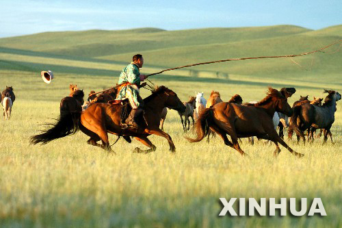 打鬃节--草原上勇敢者的游戏[组图]:南方网社会新闻频道