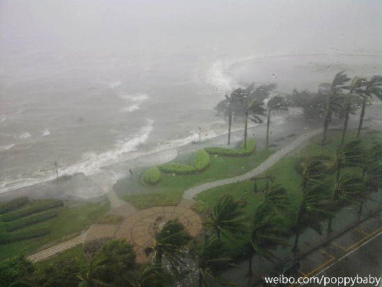 网友现场播报台风启德对湛江的影响 地市滚动