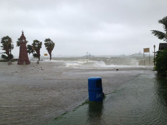 网友现场播报台风启德对湛江的影响 地市滚动