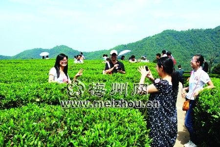 一园两特带动一精引领梅州绿色经济崛起 地市