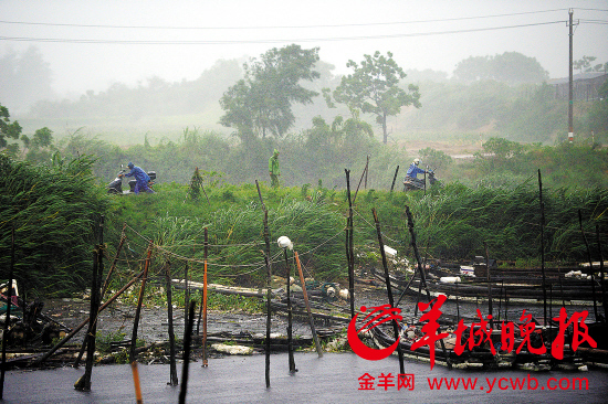今年首个台风海贝思登陆汕头 粤东遭遇大暴雨