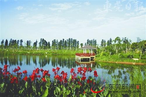 东莞湿地情况调查 围海养殖挣了钱输了环境