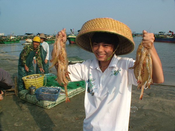 湛江海鲜地理位置_湛江海鲜_海鲜小炒(3)