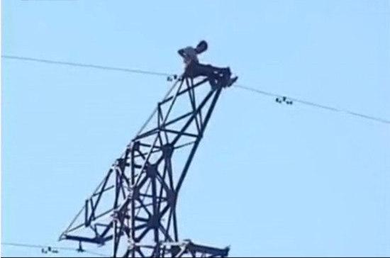 男子爬高压电塔求爱被电死 全身起火冒烟(图) 