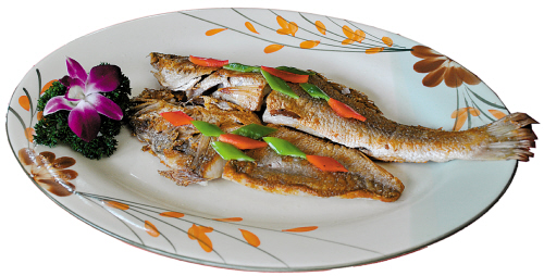 大厨坐镇小店 出品堪比大酒店 江门新闻 南方网