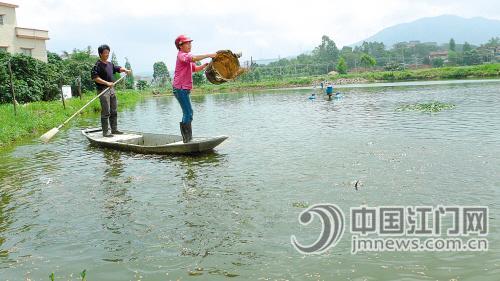 26名农妇共获112万免息贷款 江门新闻 南方网