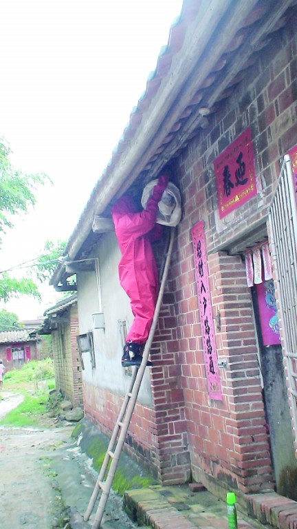 消防员摘除马蜂窝 茂名新闻 南方网