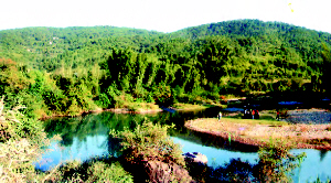 翁源gdp_翁源龙仙龙湖夜景(2)