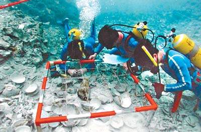 水下考古队队员正清理南海一号上的文物·广