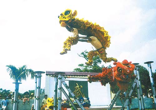 方网·广东地市新闻:湛江舞狮进天安门 遂溪醒