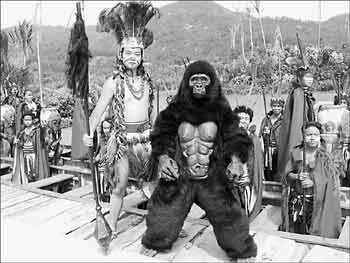 南方网·广东地市新闻:亚马逊部落火珠海 已吸