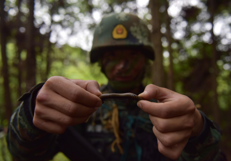 冷面杀手:中国90后狙击手 夜宿坟场活吞蛇胆_