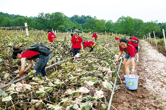 失业浪潮里的创业妙招 广东滚动 南方网