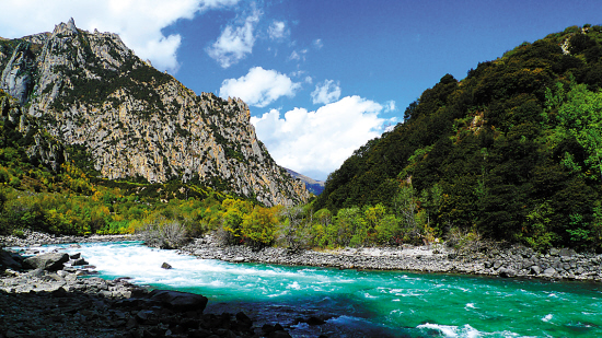 寻找林芝最美的秋天 广东滚动 南方网
