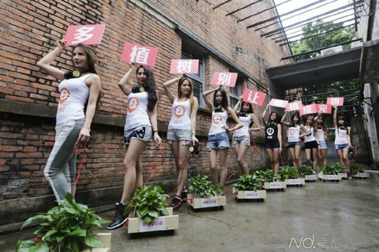 下雨天美女穿小背心在广州红砖厂宣传植树