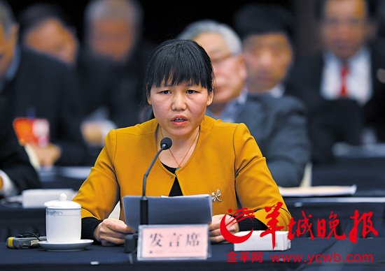广东代表团代表建议支持集体经济创新发展转型