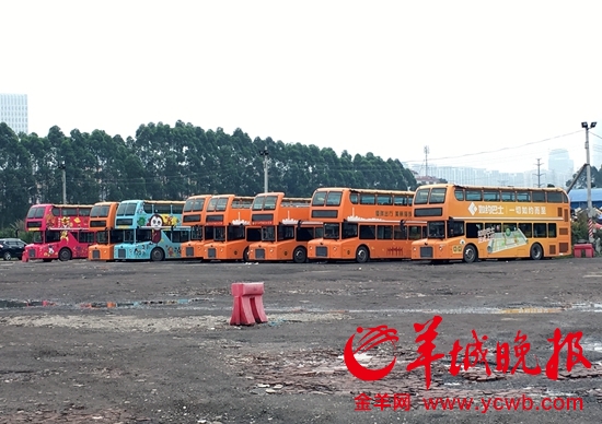广州敞篷观光双层巴士集体停运,道路限高,集体