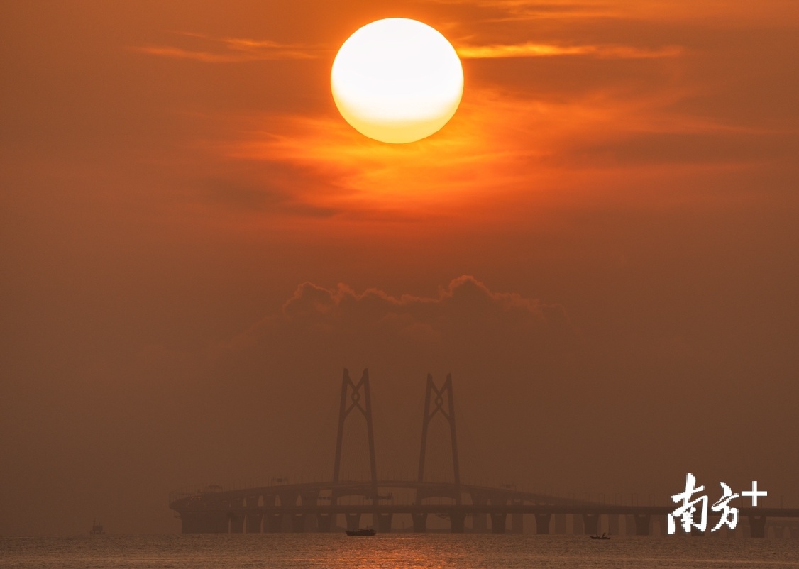 8月24日，从珠海海滨泳场看港珠澳大桥，太阳缓缓升起，刚好来到中国结两个桥墩中间。蔡振丰 摄 