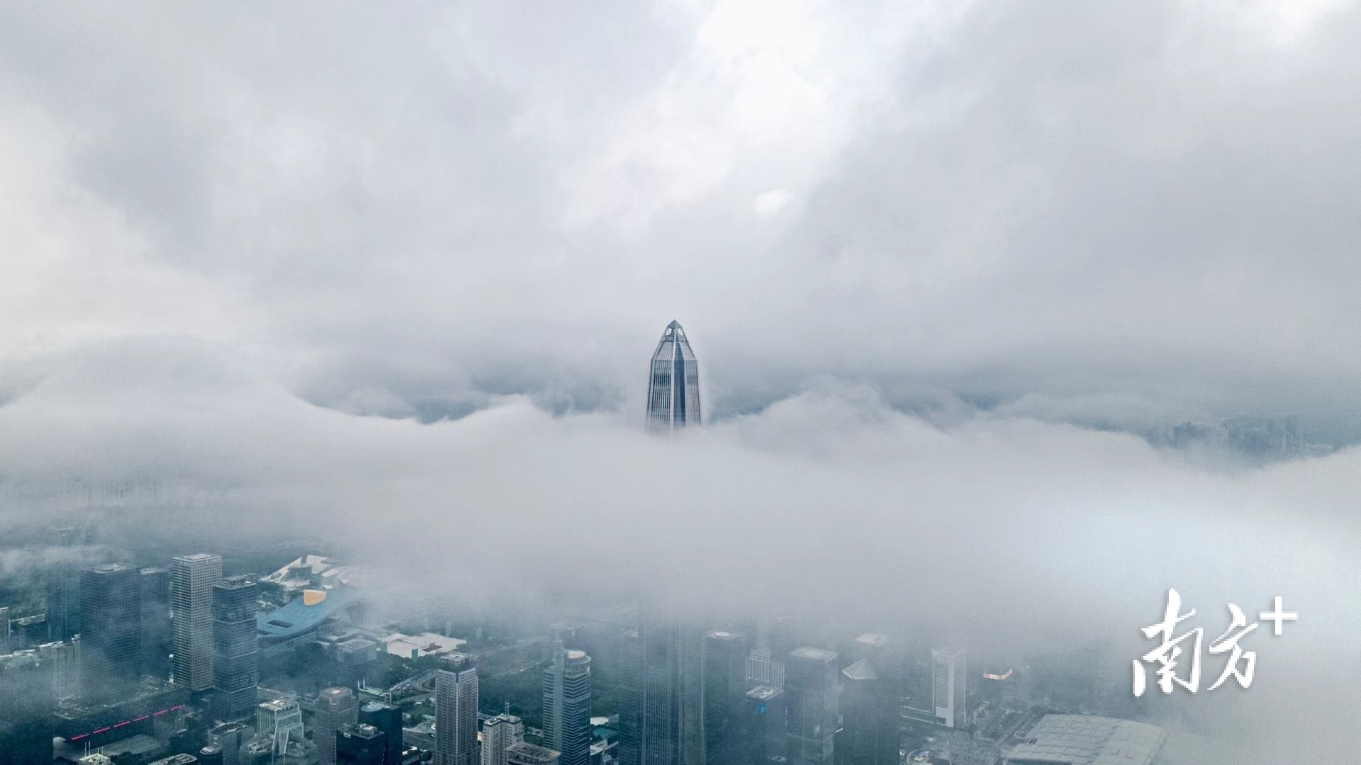 8月1日，云端上的深圳平安国际金融中心。丁文杰 摄