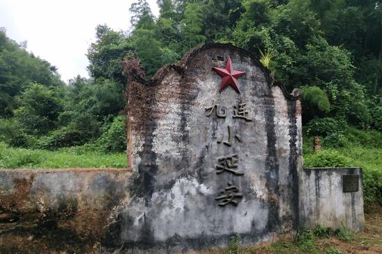 老区苏区行·河源｜探索多元道路，振兴老区苏区发展