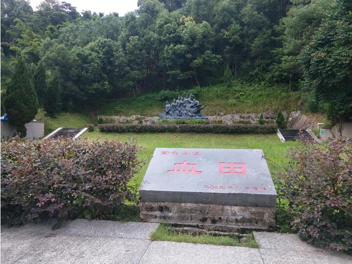 老区苏区行·河源｜探索多元道路，振兴老区苏区发展