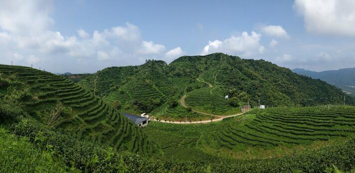 老区苏区行·河源｜探索多元道路，振兴老区苏区发展