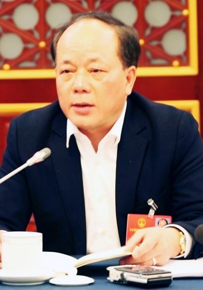 全国人大代表、中国中小企业协会副会长