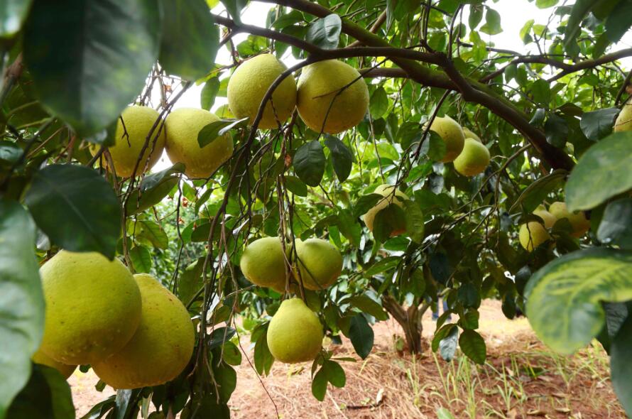 【环丹霞山十大景点评选】长坝村