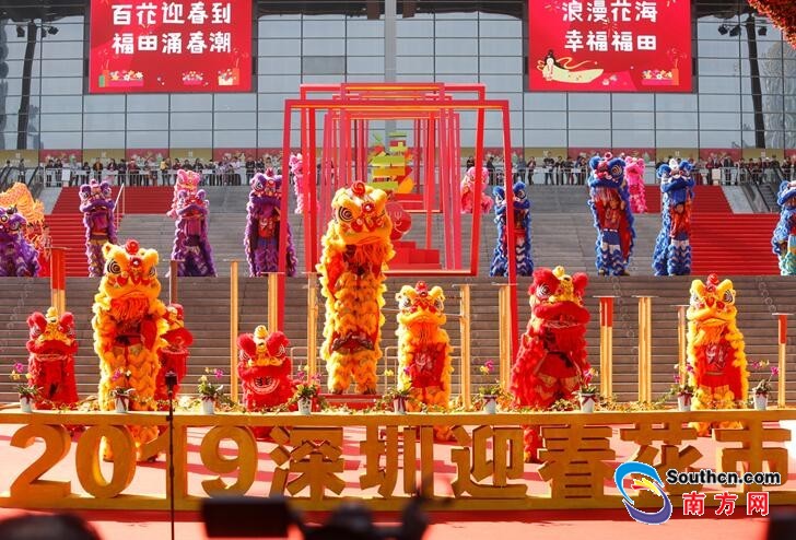传承岭南年俗!深圳展馆内办迎春花市 时隔三年
