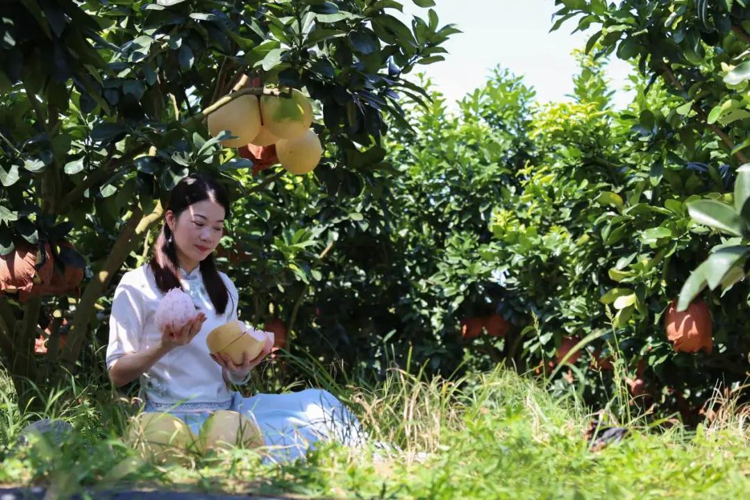 【农家乐】广州南沙：八月，遇见来自东涌的甜蜜“柚”惑