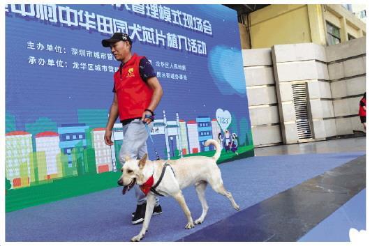 【社会治理】深圳10区共256个注射点可为犬只植入芯片