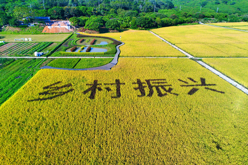 从化市gdp_从化市地图(3)