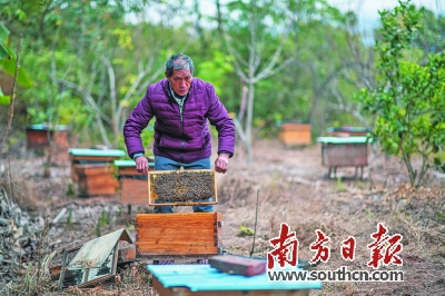 “无手画师”的多彩人生