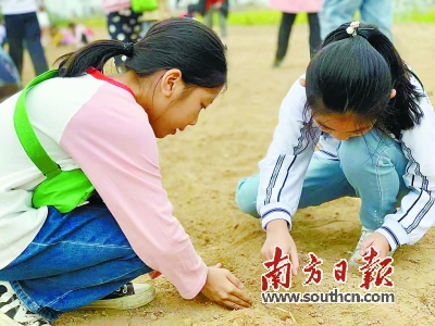 潮州“田间学校”春节不打烊 农田边现场课学习“一粒米的一生”