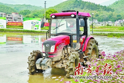 广东“藏粮于地”有实招：耕地稳中有升 农田变靓增效