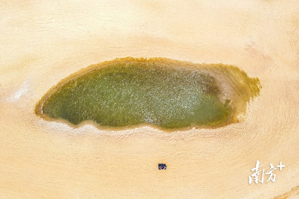 4月11日，阳江海陵岛沙滩上的水坑，形成天然独特的小泳池 。 沙滩上的咸鱼 摄