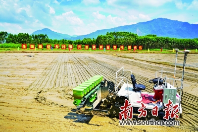 携手华南农业大学试点建立 清远首个“花稻花”无人农场开展播种