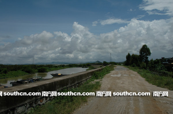 「科学发展观」阳东: 三化一业 打造珠三角 西花