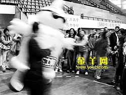 南方网:不怕提敏感字眼 21所高校角逐性病知识