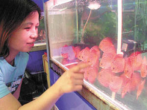 养什么好养又赚钱_养观赏虾_在家养观赏鱼赚钱吗