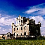6、“开平碉楼与村落”申报世遗，文化大省建设卓有成效