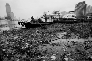 水环境之本地调查:广东1/7江段被重度污染