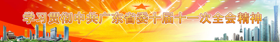 广东省委十届六次全会