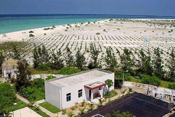 英德退伍老兵巫瑞孔:中建岛第一棵树是我种活