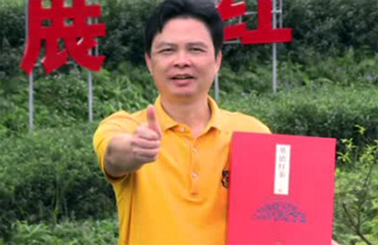 2019年陕西经济十强县_英德接过2019年第十五届中国茶业经济年会大旗,强势进入2018中国...